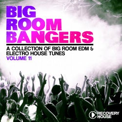 Big Room Bangers Vol. 11