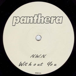 Without You