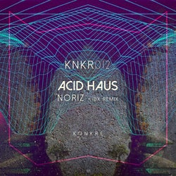Acid Haus