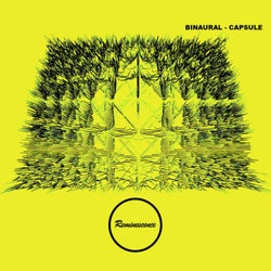Capsule