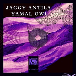 Yamal Owl