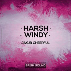 Harsh / Windy
