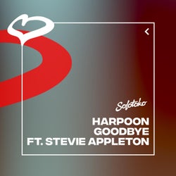 Goodbye (feat. Stevie Appleton) [Extended Mix]
