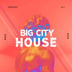 Big City House, Vol. 3
