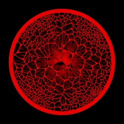 Intersections II