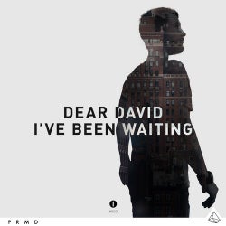 I've Been Waiting (Original Mix)