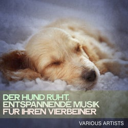 Der Hund Ruht, Entspannende Musik Für Ihren Vierbeiner
