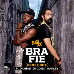 Bra Fie (feat. Damian "JR GONG" Marley)