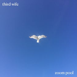 Zoom Pool