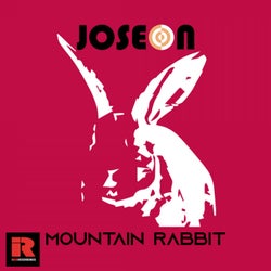 Mountain Rabbit (Remixes)