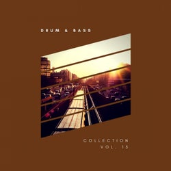 Sliver Recordings: Drum & Bass, Collection, Vol. 15