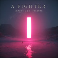 A Fighter (Extended Mix)