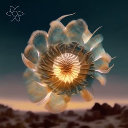 Rhodanthe