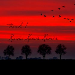 Track 1 (Rianu Keevs Remix)