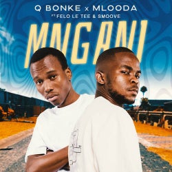Mngani