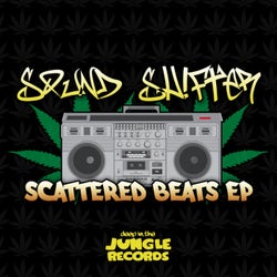 Scattered Beats
