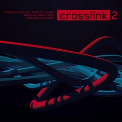 Crosslink 2 (Tribal Vision CD - Compiled By DJ Slater)