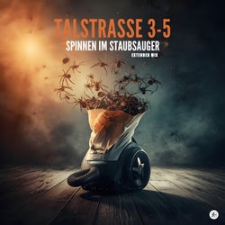 Spinnen im Staubsauger (Extended Mix)