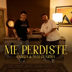 Me perdiste