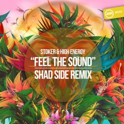 Feel The Sound (Shad Side Remix)