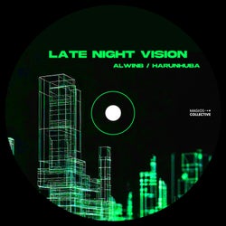 Late Night Vision