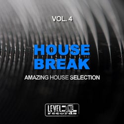 House Break, Vol. 4 (Amazing House Selection)