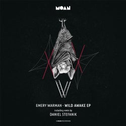Wild Awake Chart by Emery Warman