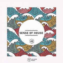 Sense Of House Vol. 43