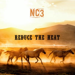 Reduce the Heat