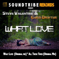 Steve Valentine & Chris Drifter - What Love EP