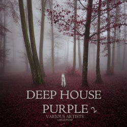 Deep House Purple 2