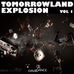 Tomorrowland Explosion 1