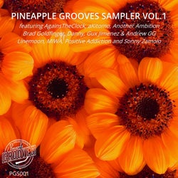 Pineapple Grooves Sampler Volume 1