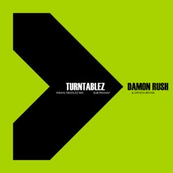 Turntablez (Wsahl Needlez Mix)