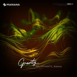 Gravity
