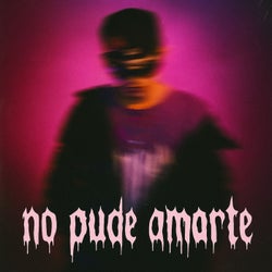 No Pude Amarte