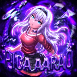 PICA AÃRAO