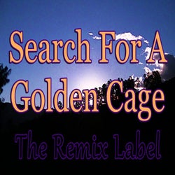 Search for a Golden Cage (2LS2Dance Dubhouse Basement Meets Bunker Deephouse Music)