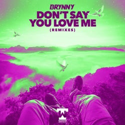 Don't Say You Love Me (Remixes)
