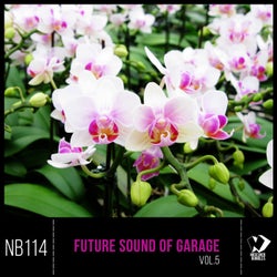 Future Sound of Garage, Vol. 5