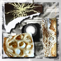 Mycelial