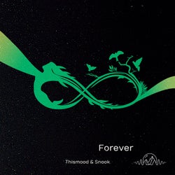 Forever (feat. Snook)