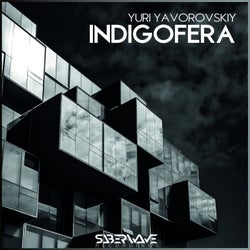 Indigofera
