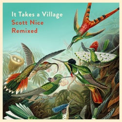 It Takes a Village (Scott Nice Remixed)