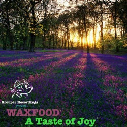 Taste Of Joy EP