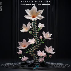 Colors of the Night