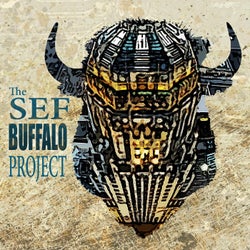 The Sef Buffalo Project