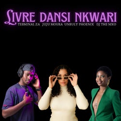 Livre Dansi Nkwari