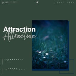 Attraction