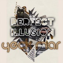 Perfect Illusion